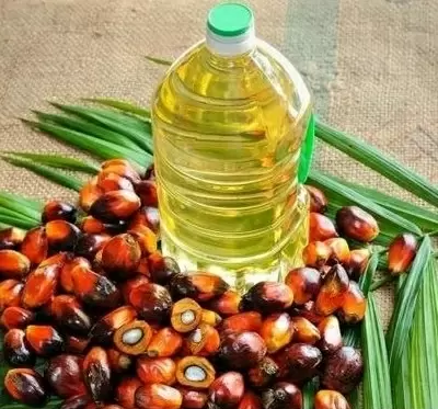 Oil palm mission relaunched with focus on NE states, A&N Islands